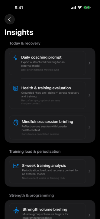 Insights (Pro) hub listing prompt tools for export to an external model